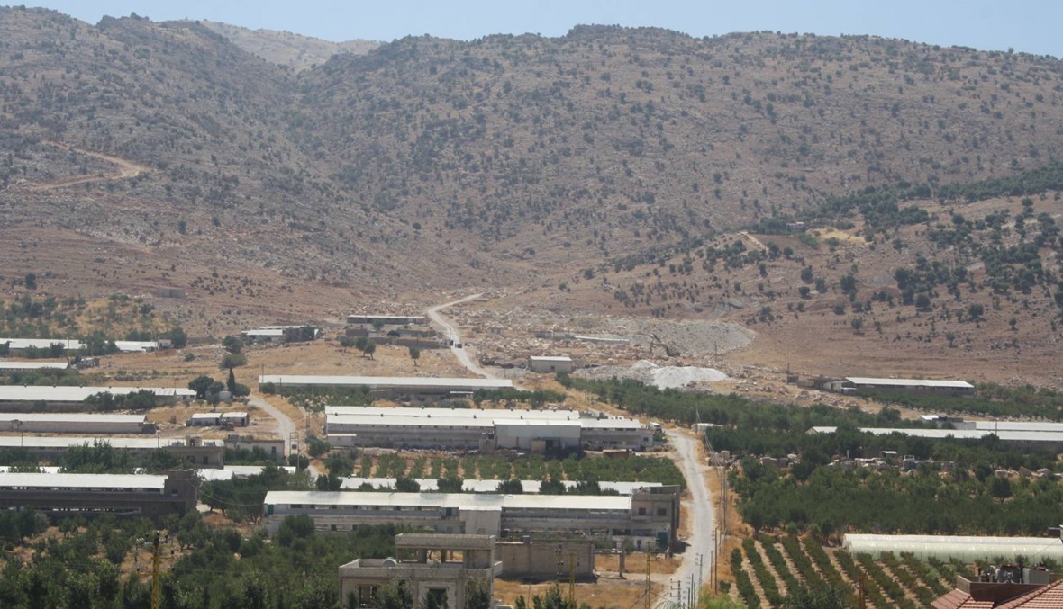 عن قوسايا والمواقع الفلسطينيّة