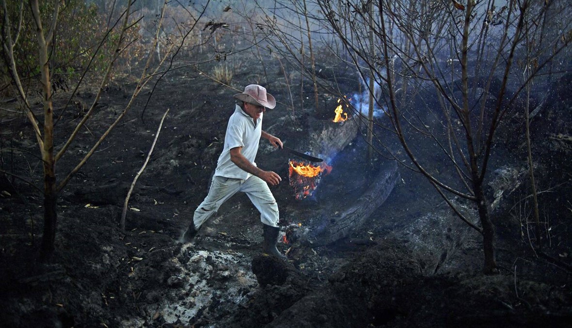 حرائق الأمازون انعكاساتها خطيرة على الصحة سكان بورتو فيليو أصبحوا "مدخنين سلبيين"