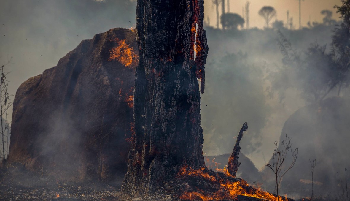 الأمازون: تدمير غابة "لا يتطلّب سوى وقت قليل، وإعادة تشجيرها تستغرق عقداً"