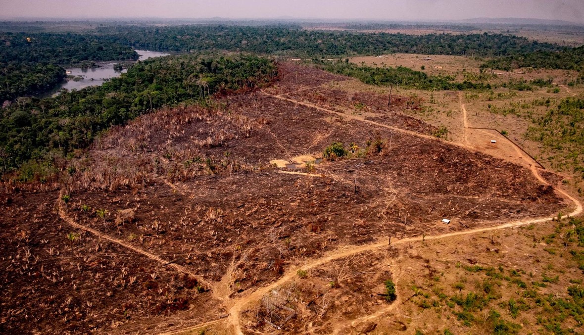 قمّة في كولومبيا حول الأمازون: الأونيسكو تطالب بـ"تعزيز حماية التراث الطبيعي للبشريّة"