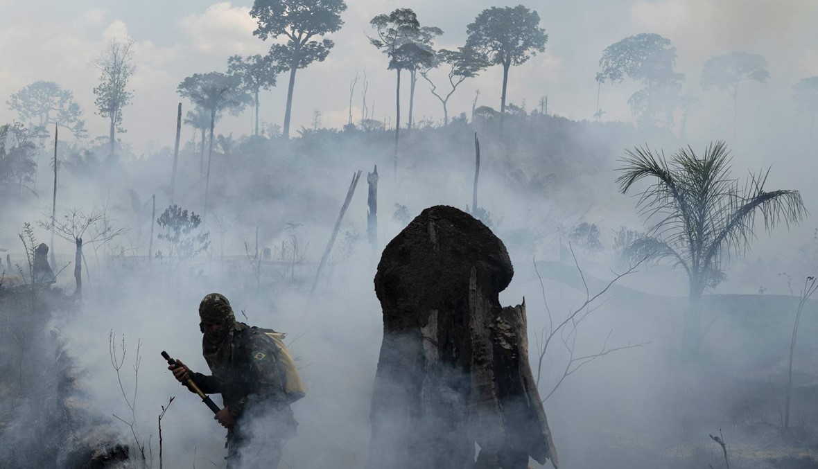 مَن يحرق غابات الأمازون في البرازيل؟