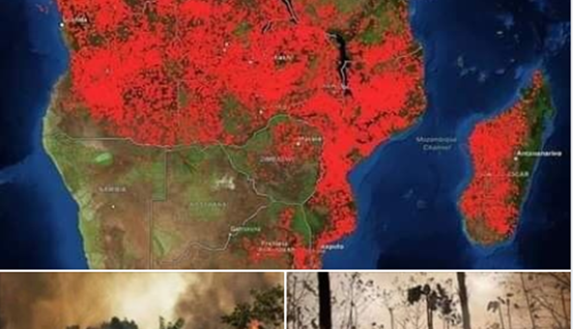 حرائق في وسط إفريقيا أكثر ضراوة من حرائق الأمازون؟ FactCheck#