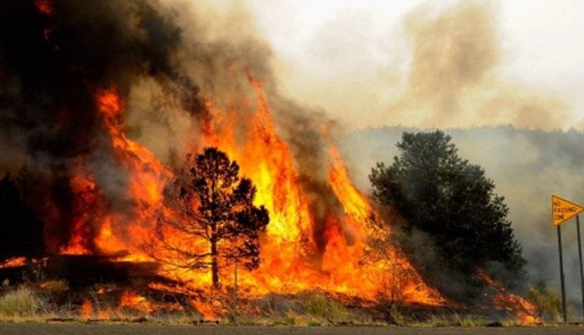إجلاء قريتين مع احتدام حريق غابات في جزيرة زاكينثوس اليونانية