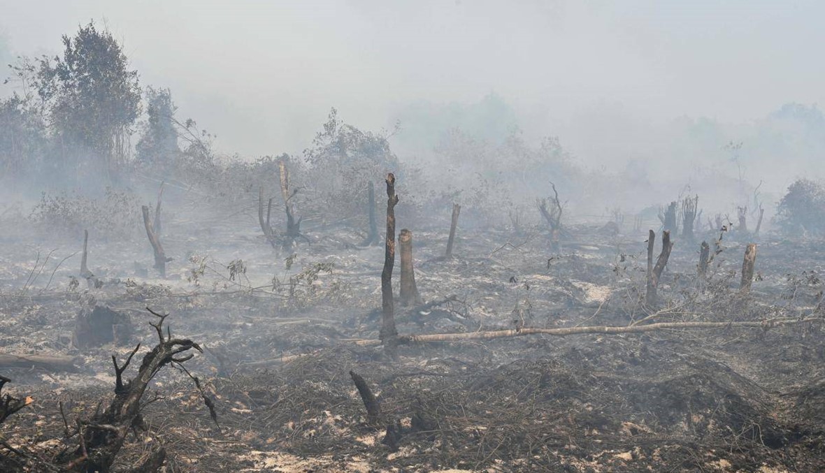 حرائق غابات في إندونيسيا وماليزيا... إقفال آلاف المدارس اثر تشكّل الضباب