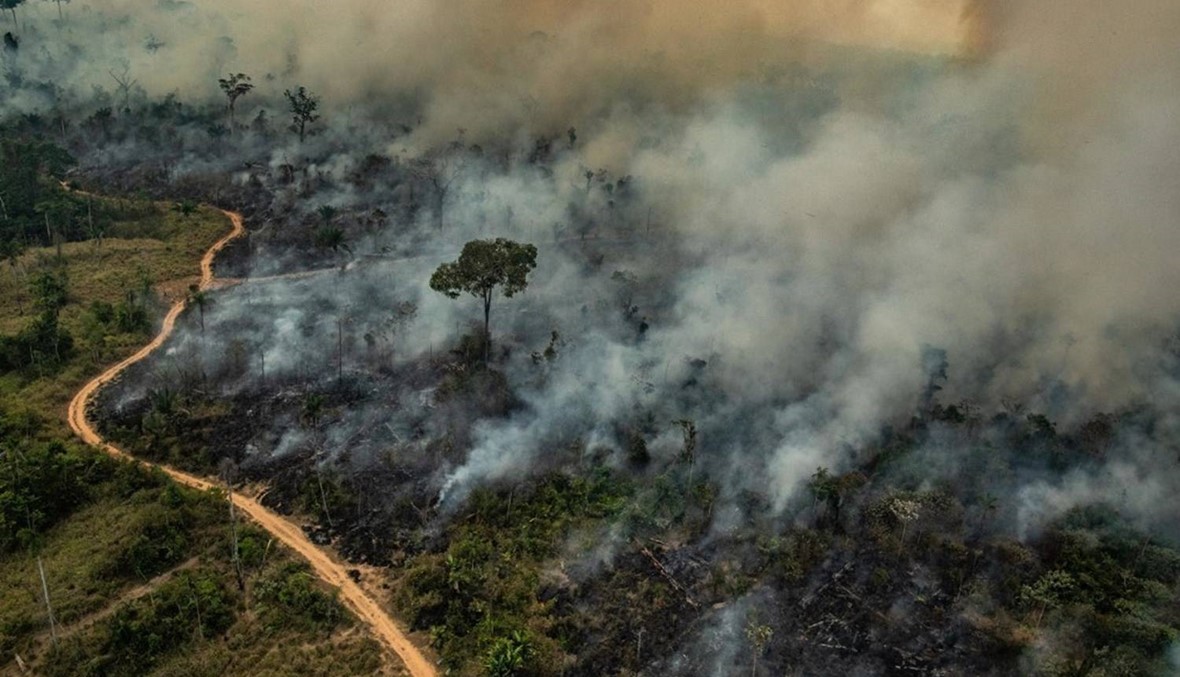 الحرائق تواصل التهام الأمازون