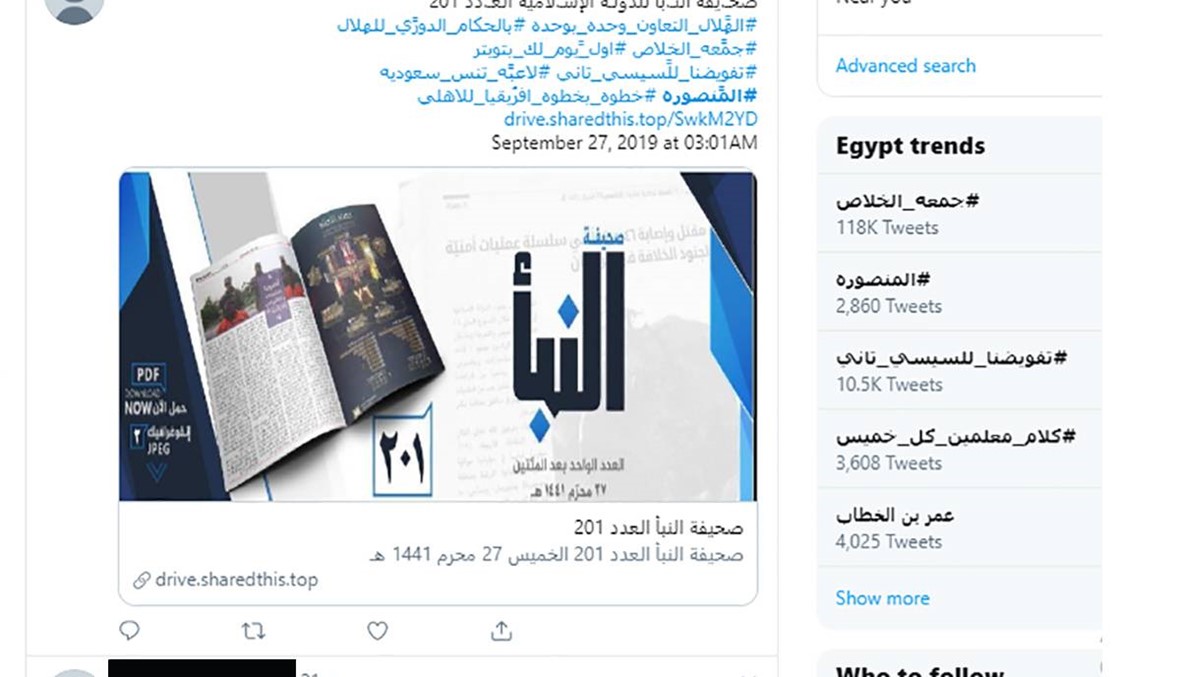 "داعش" يكثف نشاطه عبر "هاشتاغات" دعوات التظاهرات في مصر