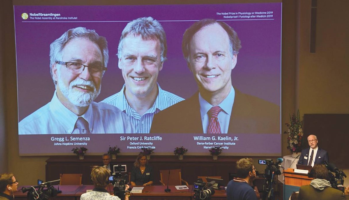 نوبل الطب 2019 تُمنح لثلاثة باحثين "أميركيِّيْن وبريطاني" والمراهنات تشتعل حول توقعات الفائزين بالآداب والسلام