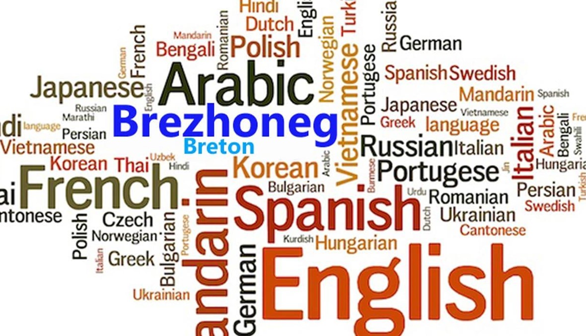 هل حان الوقت لإعادة النظر في دور اللغات في نظامنا التعليمي؟