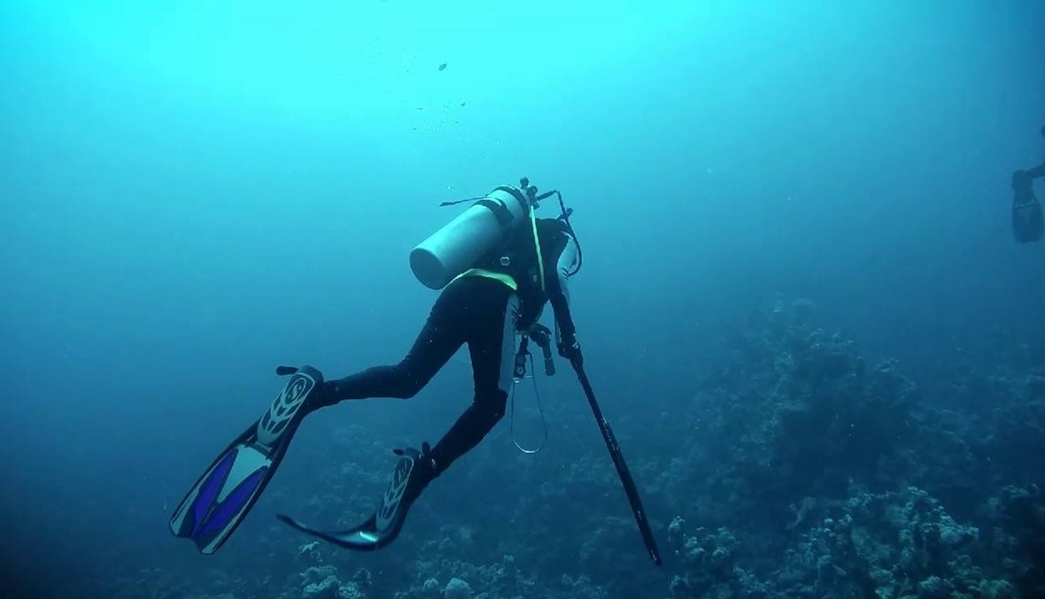 بالفيديو: كائن بحري يقوم بتنظيف أسنان غواص تحت الماء!