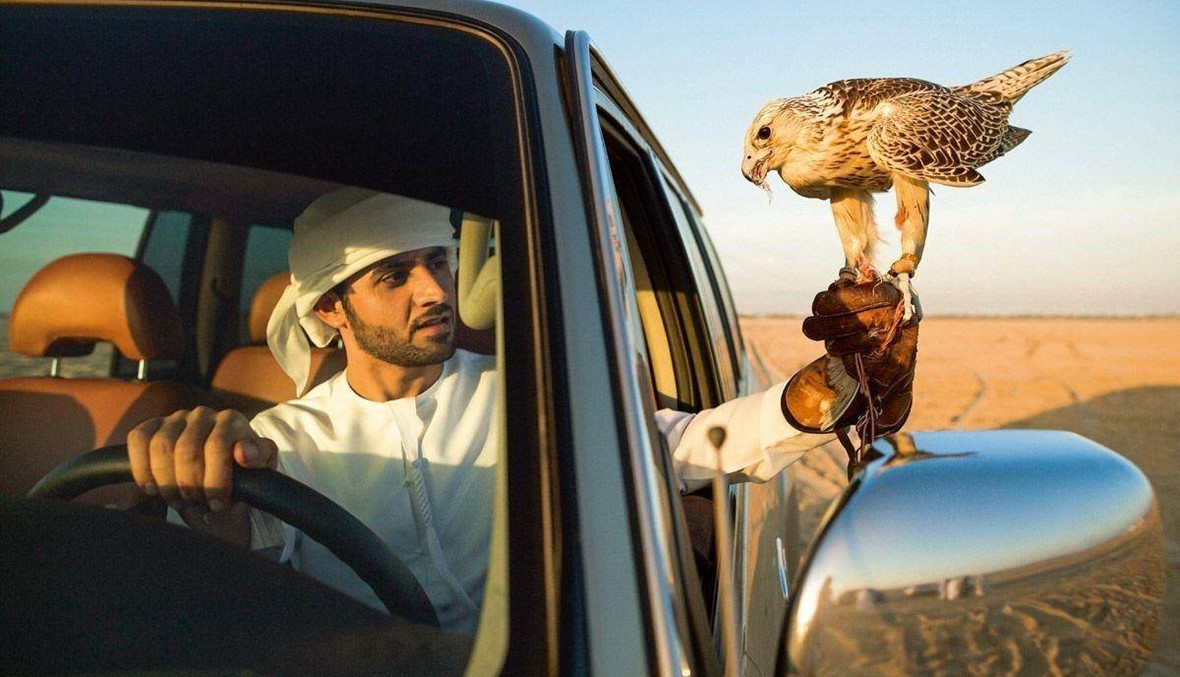كيف يختار مربّو الصقور في السعودية أسماء طيورهم