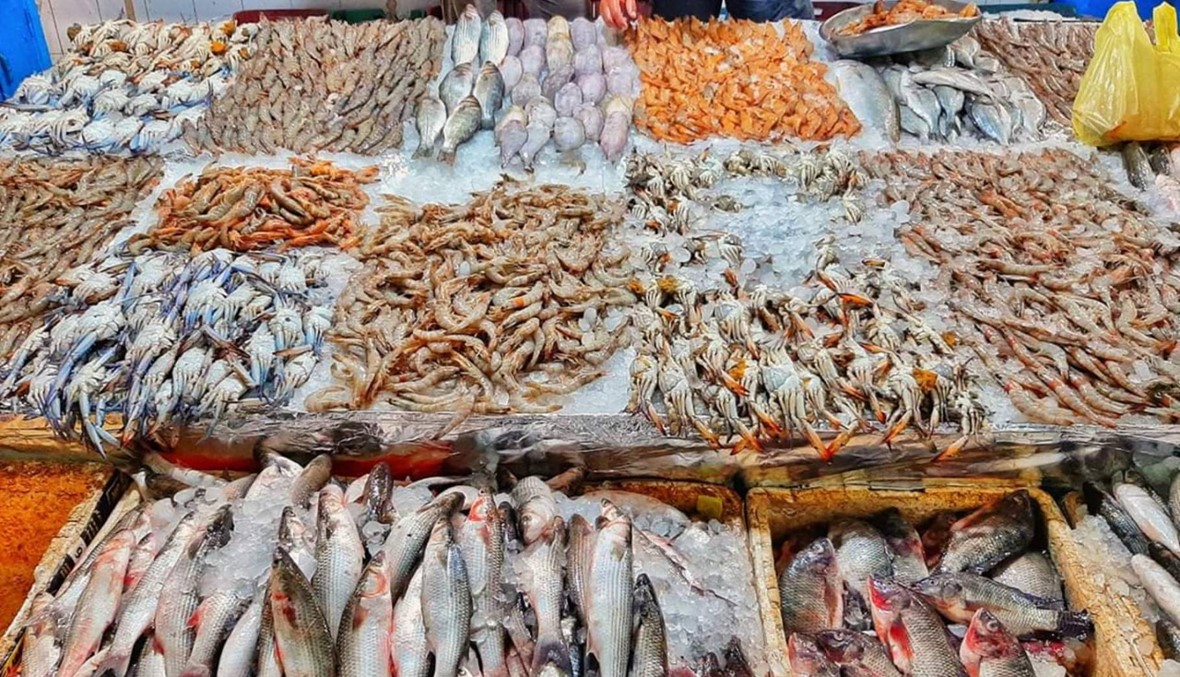 زيادة الأسعار وأسماك سامّة... حقيقة 5 شائعات أثارت جدلاً في الشارع المصري (فيديو)