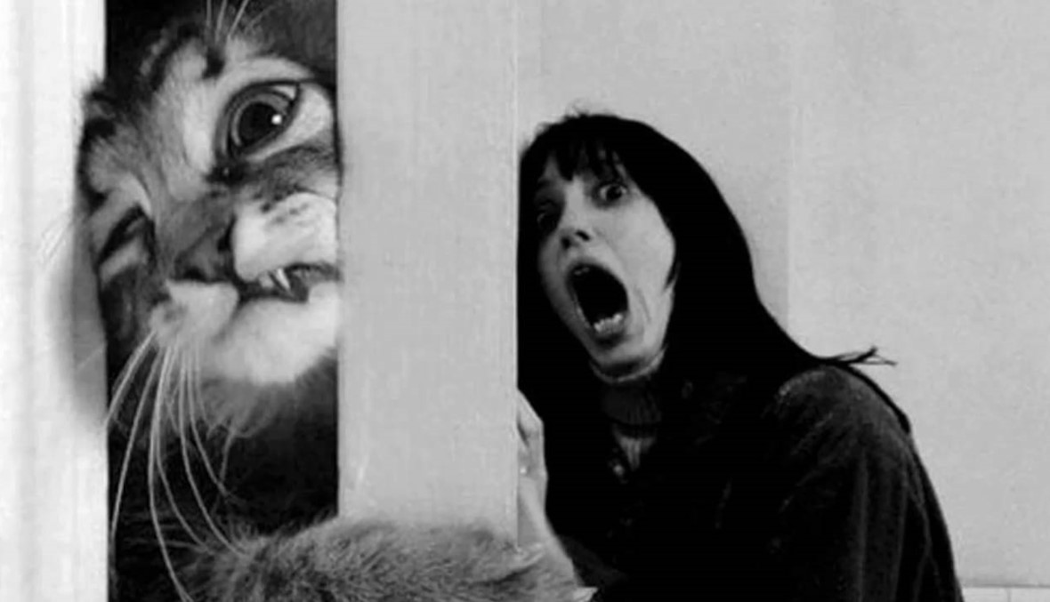 لماذا تخاف الفتيات تحديداً من القطط؟