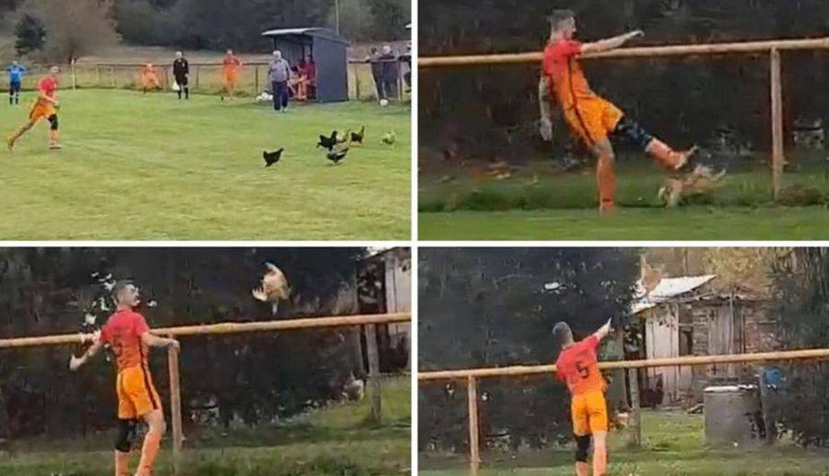 دجاجة تضع لاعب كرة قدم أمام القضاء!