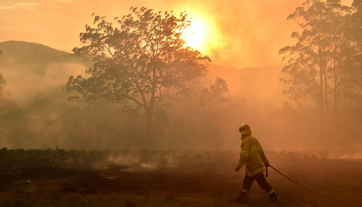 حرائق الغابات في أوستراليا تصل ضواحي سيدني