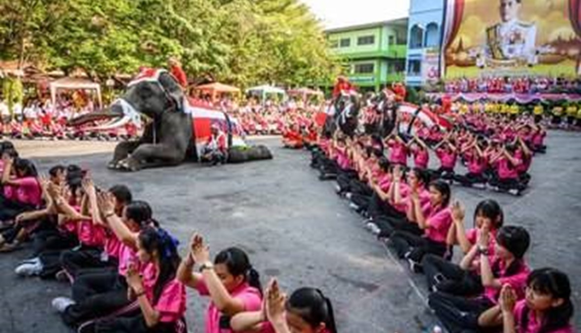 الأفيال تلعب دور "بابا نويل" وتوزّع الهدايا في مدرسة في تايلاند