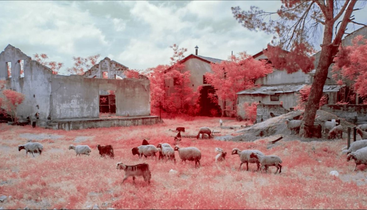 "بيروت المحطة الأخيرة": مدينة فاتها القطار (فيديو)