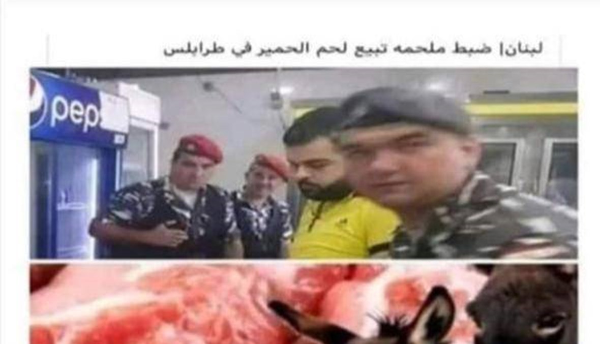 خبر كاذب منسوب إلى "النهار": لا صحّة لبيع لحم حمير في طرابلس FactCheck#