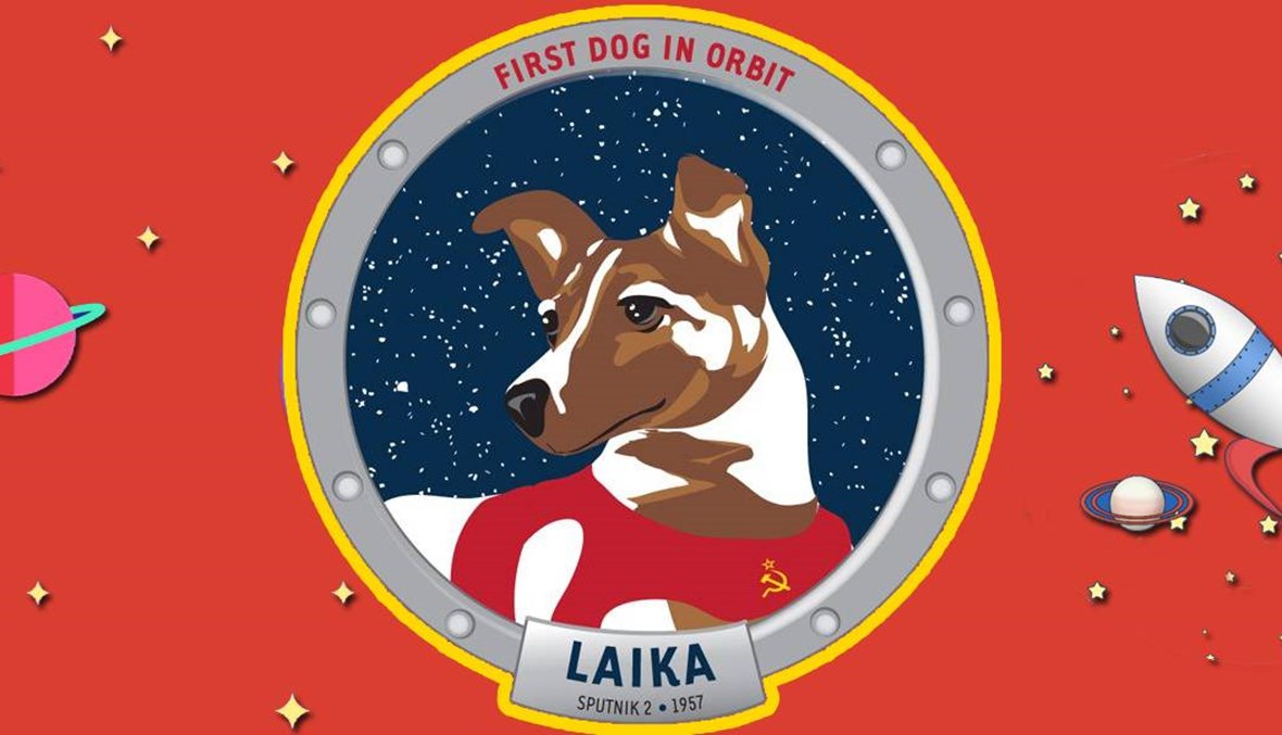 تعرَّف إلى لايكا... الكلبة التي سبقت الإنسان إلى الفضاء