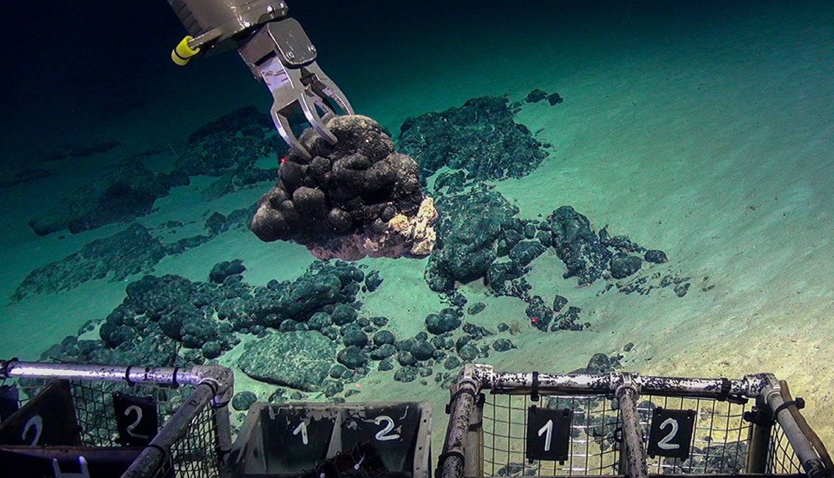 عمرها 100 مليون عام... علماء يُعيدون ميكروبات من أعماق المحيط الهادي إلى الحياة