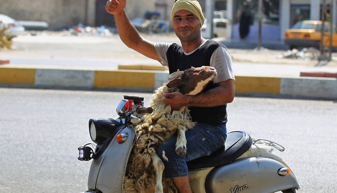 عيد الأضحى يحلّ ثقيلاً على العراقيّين: كورونا وأزمة اقتصاديّة... لا رواتب ولا خدمات