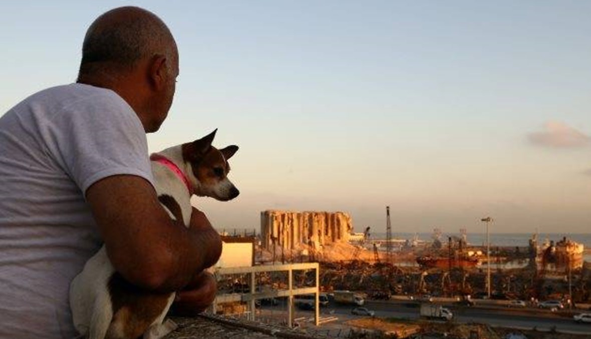 فيديو مؤثر يوثق لحظة عثور الأشخاص على حيواناتهم الأليفة عقب انفجار بيروت