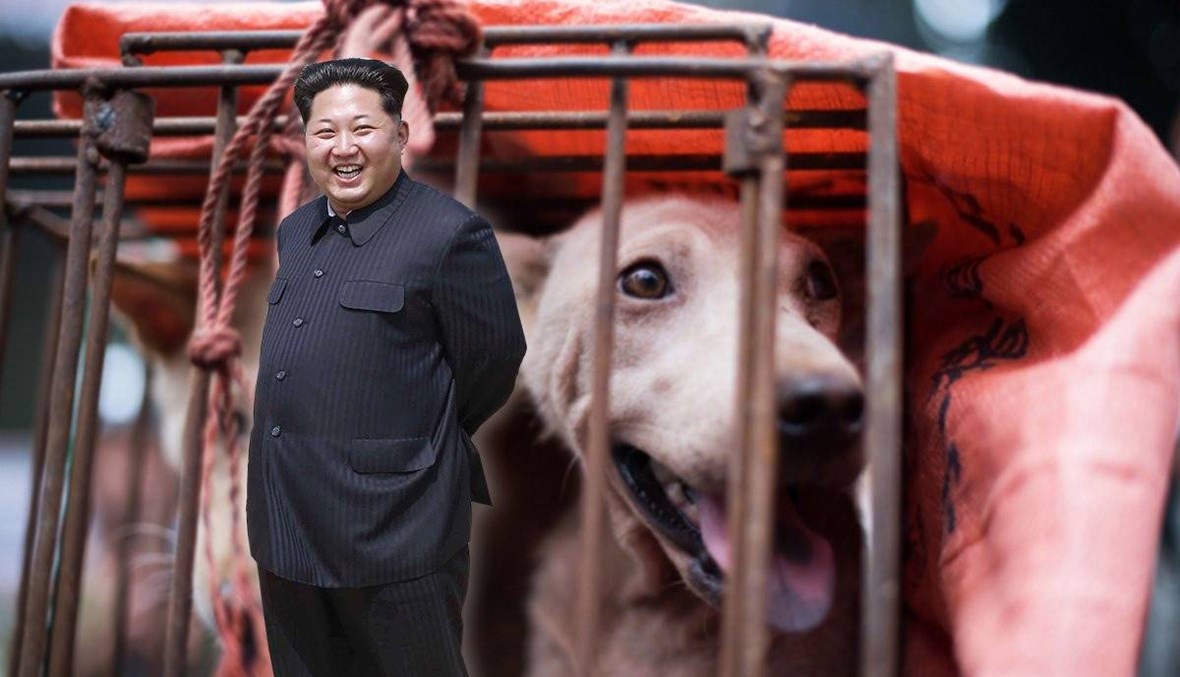 لحوم الكلاب طبق رئيسي على سفرة زعيم كوريا الشمالية