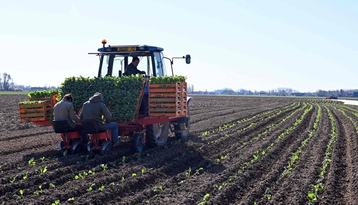 قطاع الزراعة الفرنسي يستعين باللاجئين لسد النقص في اليد العاملة