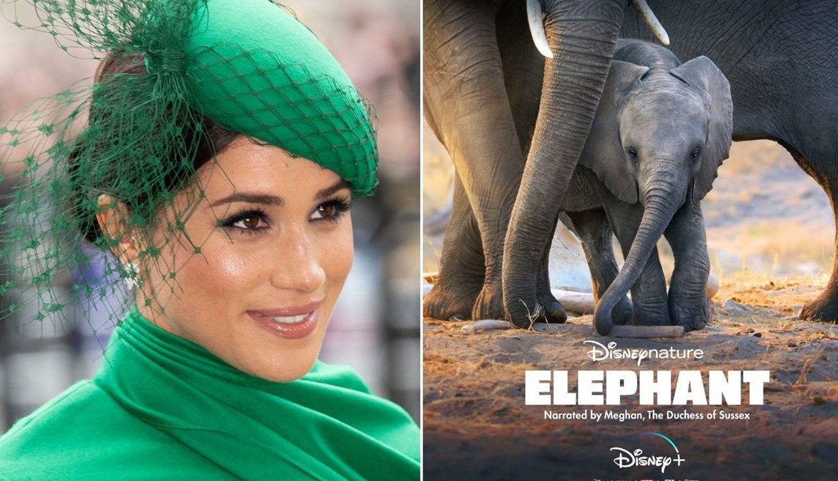 هاري وميغان في لوس أنجلس... ودوقة ساسيكس تعود إلى السينما