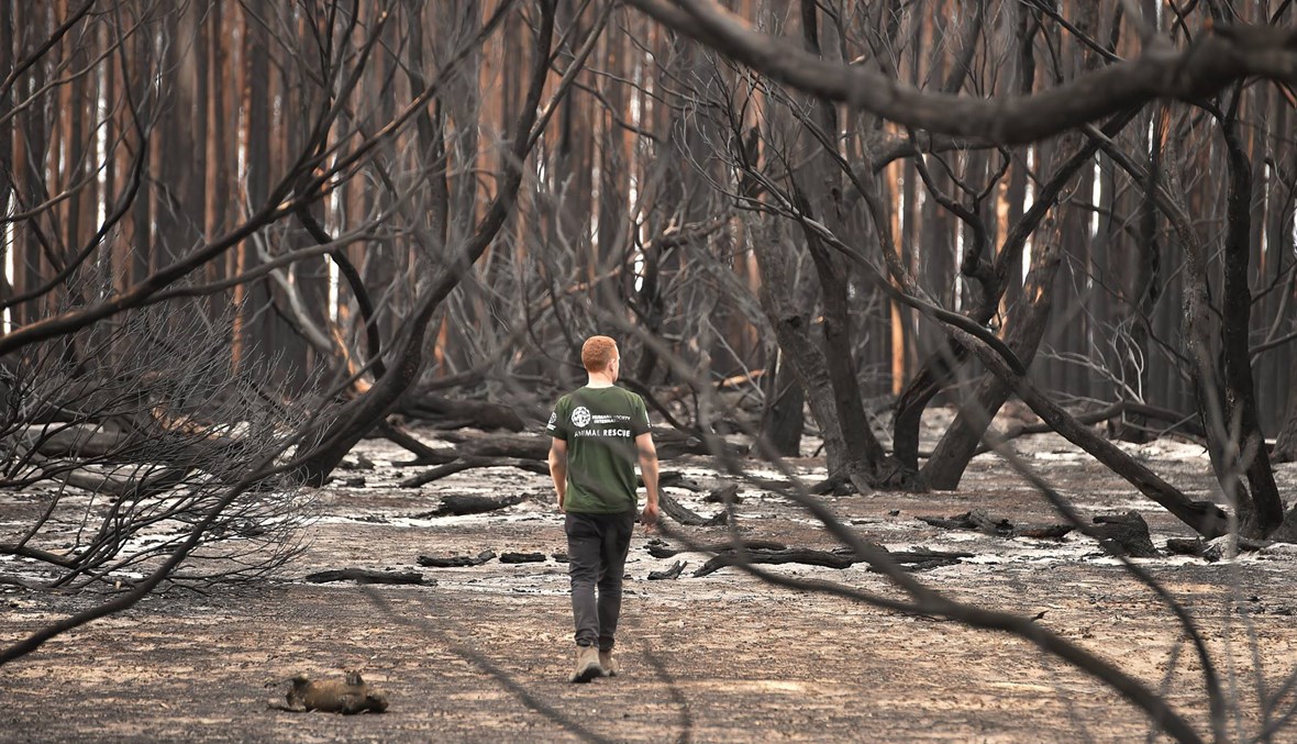 "أمطار غزيرة" تساقطت على أوستراليا: "ستساهم في احتواء الحرائق"