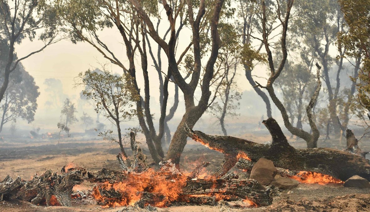 الدخان والغبار في الأجواء... تحذير من الحرائق في العاصمة الأوسترالية