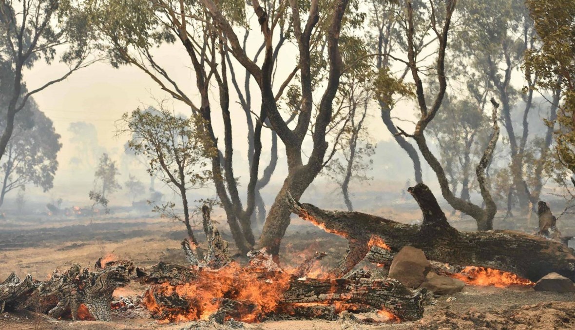 "صيف أوستراليا الأسود"... احتواء كل الحرائق في ولاية نيو ساوث ويلز