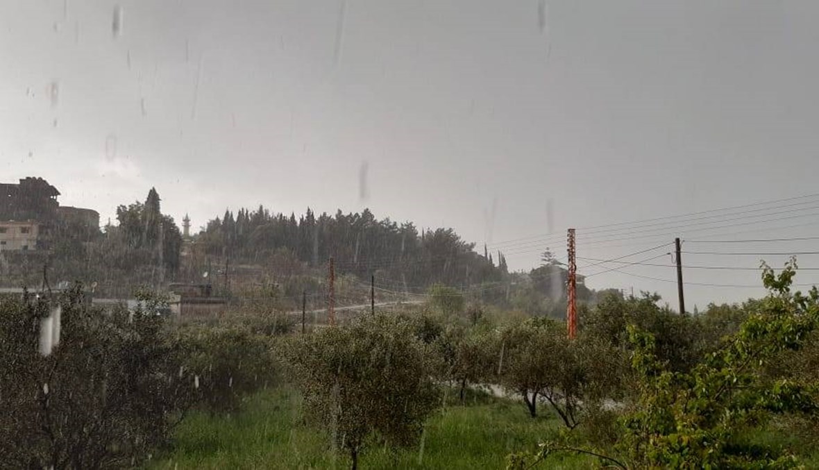 أمطار غزيرة في عكار... طبقة من الضباب تحجب الرؤية (صور وفيديو)