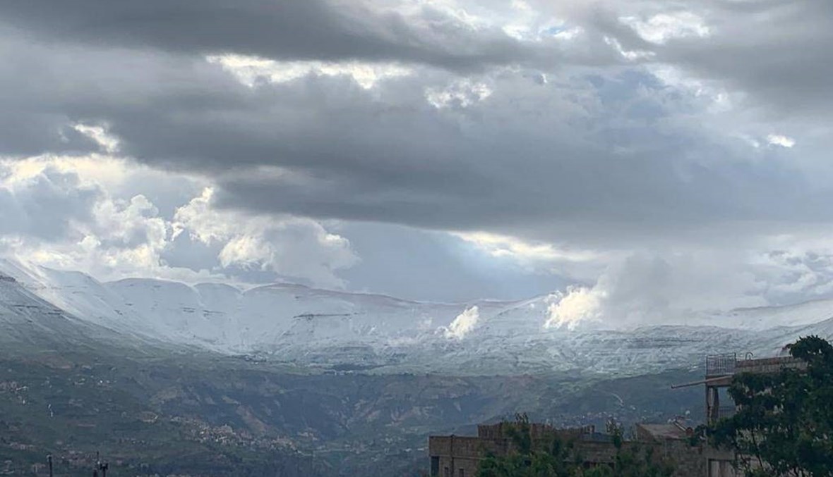 "شتوة" اليوم أسعدت المزارعين... كيف سيكون طقس الغد؟