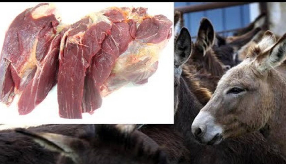 بينها مطاعم شهيرة... لحوم الكلاب والحمير تثير الجدل في مصر