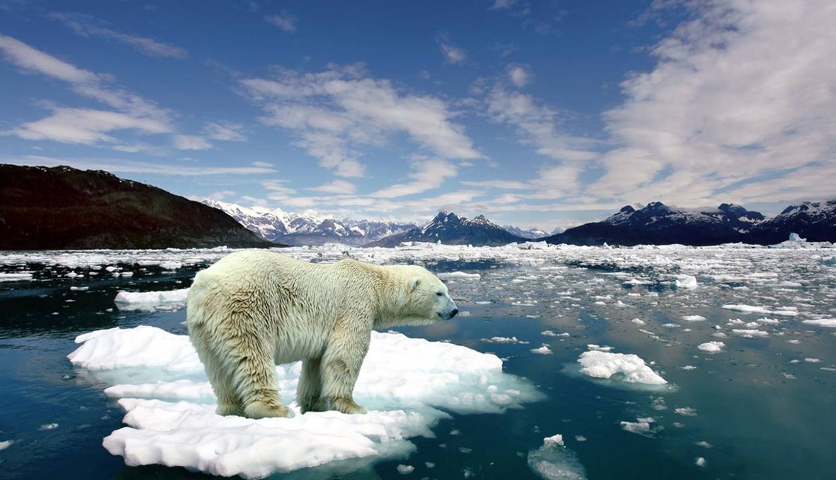 تهديد عالمي جديد... ذوبان الجليد يفتح صندوق الفيروسات