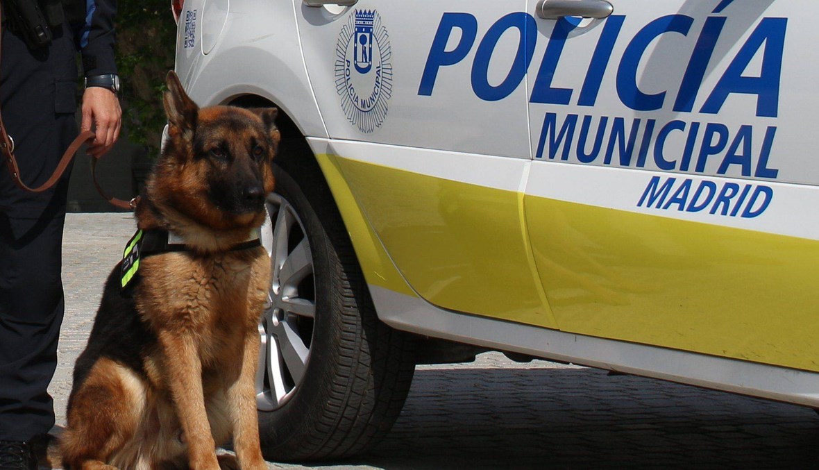 تخفيف التوتر وتحسين المزاج... شرطة إسبانيا تعالج كلابها بجلسات موسيقيّة