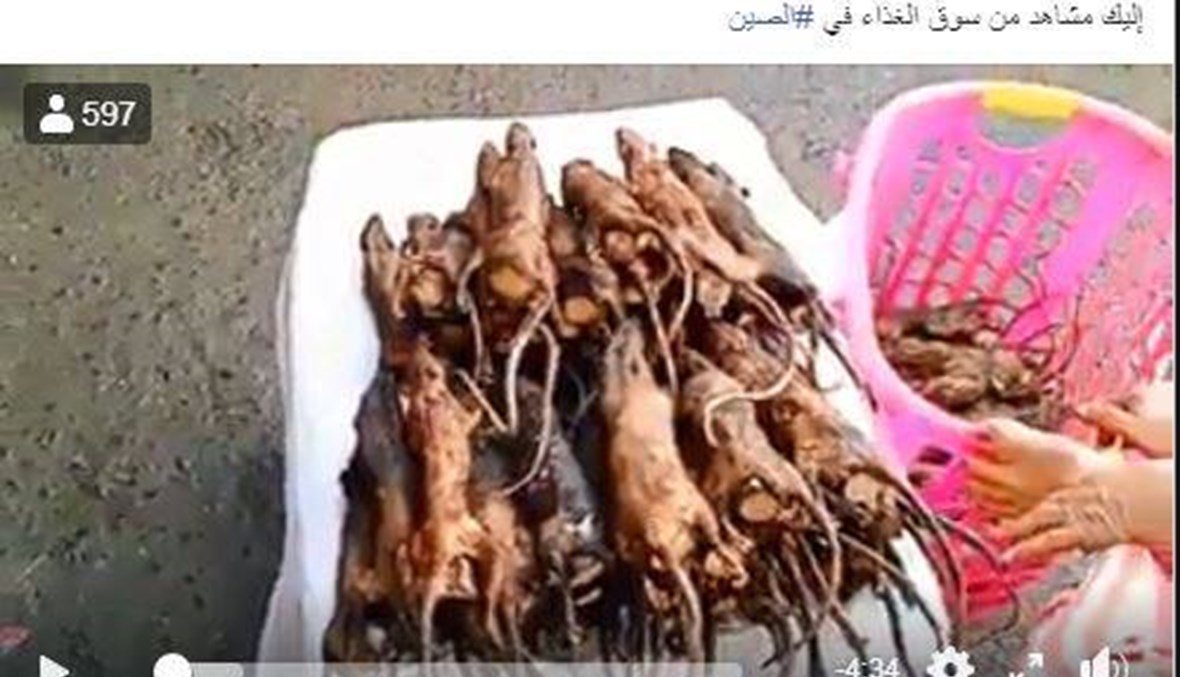 "لمن يسأل من أين يأتي الكورونا": إليكم حقيقة هذا الفيديو FactCheck#