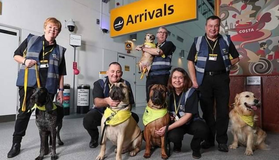 مطار يوظف كلاباً لتخفيف توتر المسافرين وذوي الإعاقات