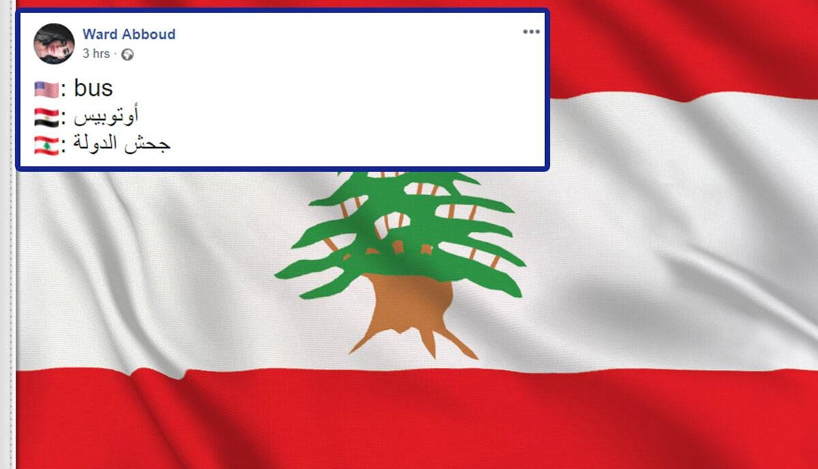 أطرف المنشورات عن اللهجة اللبنانية!