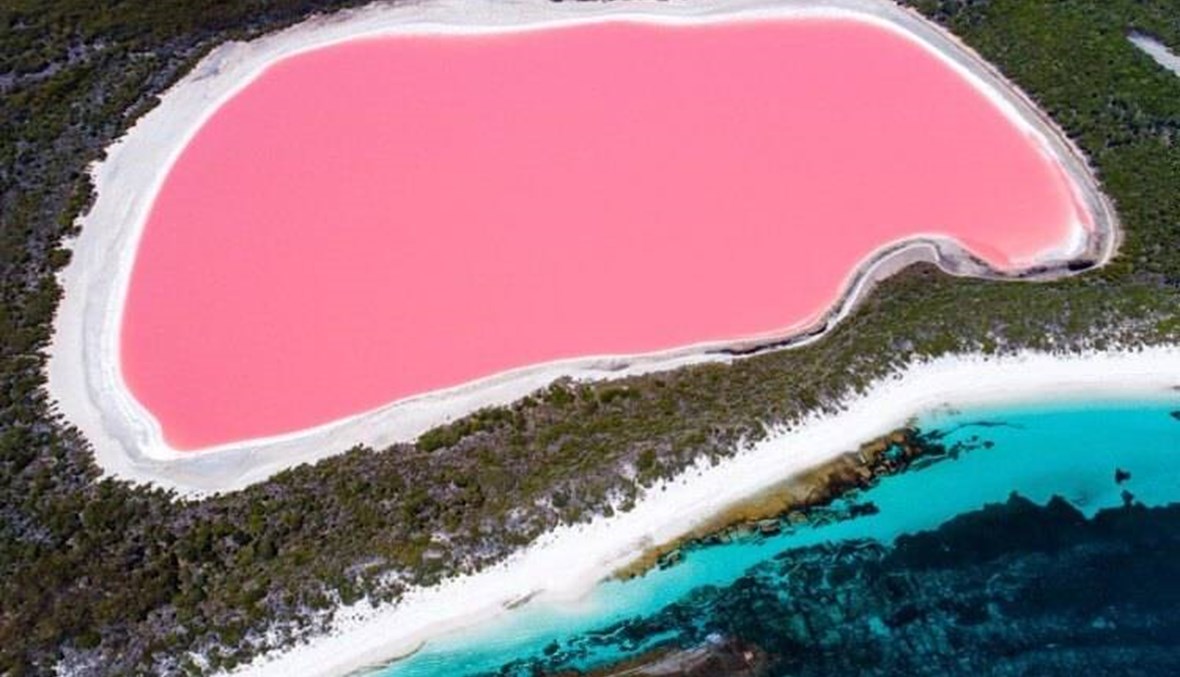 ما سرّ لون البحيرات الورديّة الموجودة في أوستراليا؟!