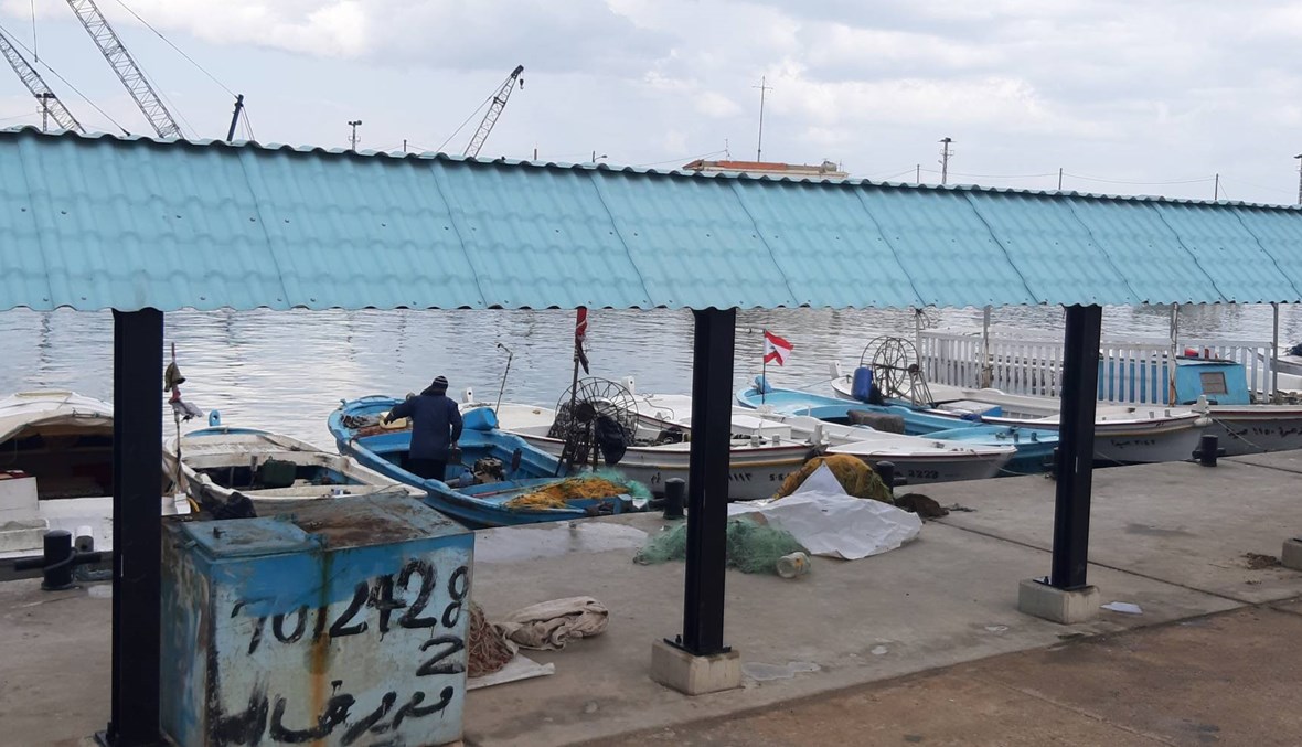 بالصور: إقفال سوق السمك (المزاد العلني) في صيدا