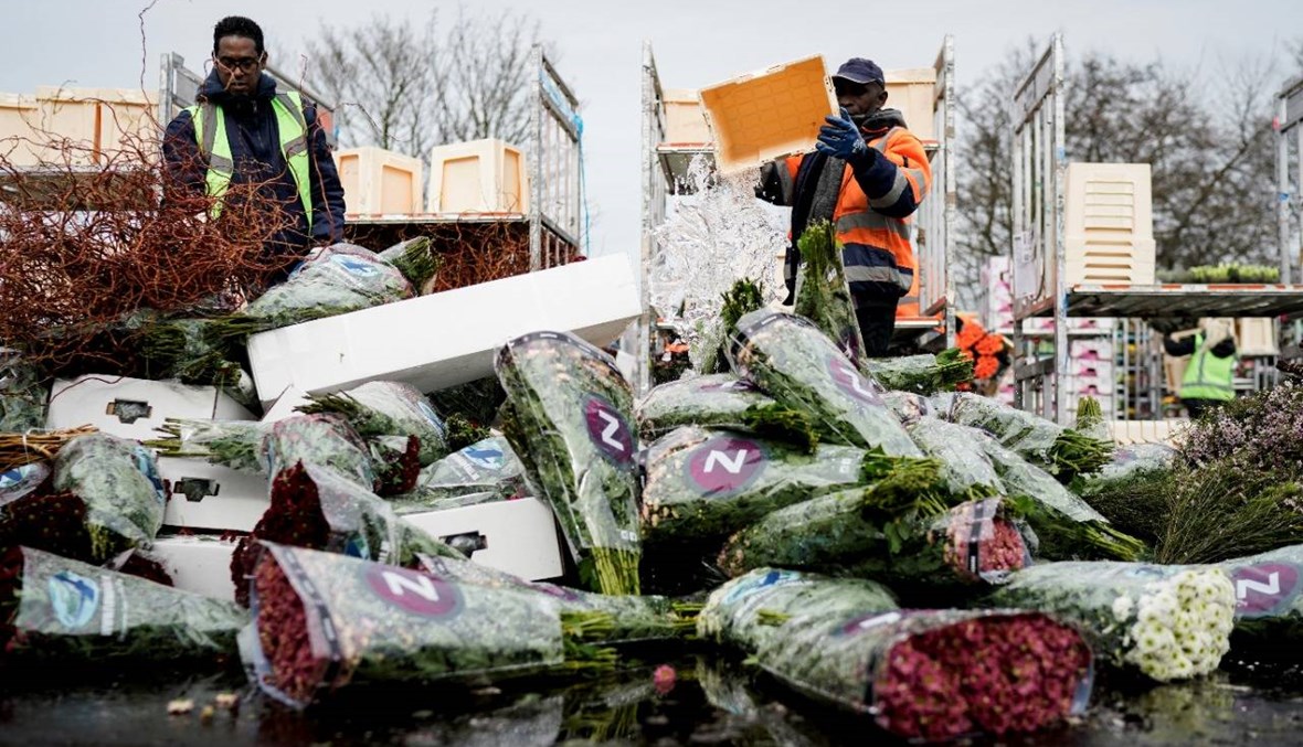 هولندا: 30 وفاة و534 إصابة جديدة بفيروس كورونا