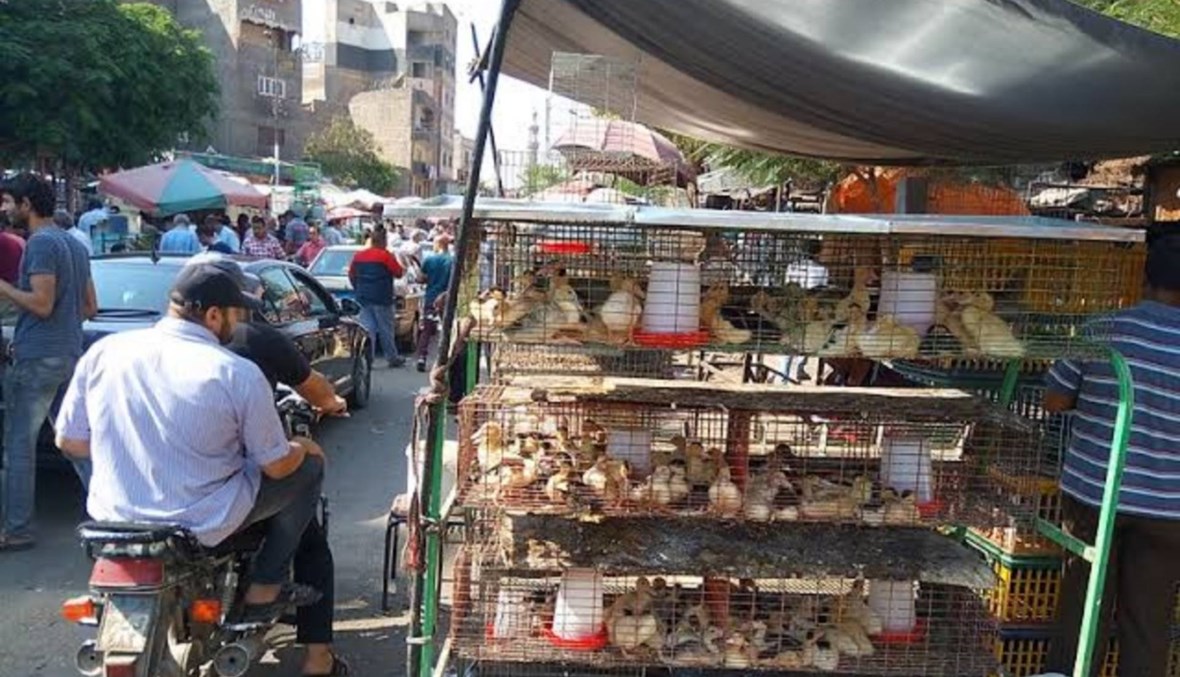 الأجهزة المصرية تُغلق أسواق الجمعة وتراقب تنفيذ احترازات كورونا (صور)