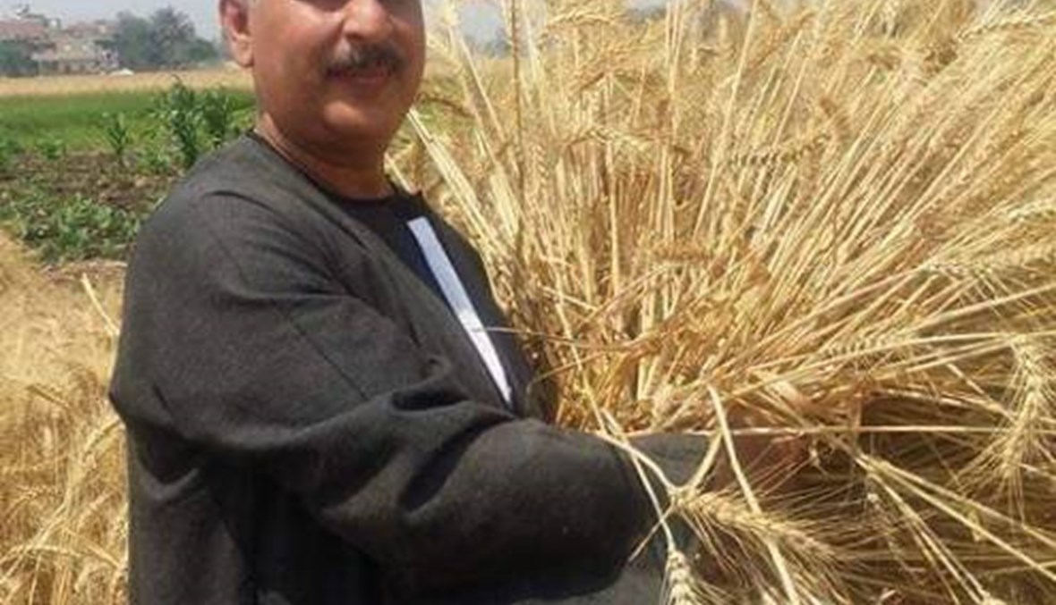 نقيب الفلاحين في مصر يكشف آخر تأثير لكوفيد- 19 على الزراعة