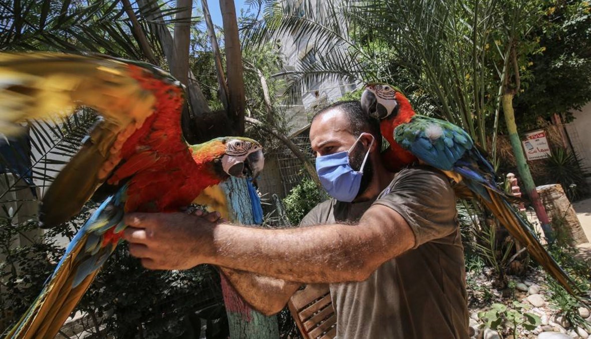 تسجيل خمس إصابات جديدة بكورونا في قرية بالضفة الغربية