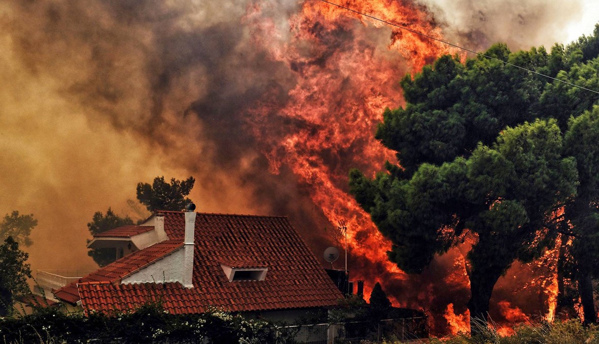 حرائق الغابات في شبه جزيرة ماني اليونانيّة مستمرّة: 150 إطفائيًّا يكافحون النار