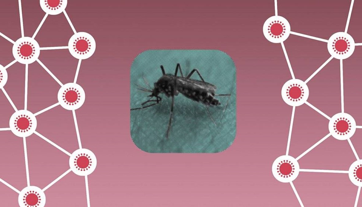 Can mosquitoes spread the coronavirus?
