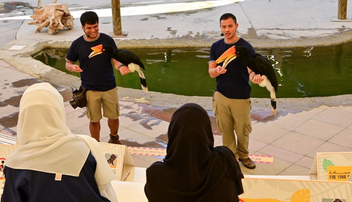 أشخاص يحضرون عرضًا عن الطيور في حديقة سفاري دبي )4 ت1 2020، أ ف ب). 