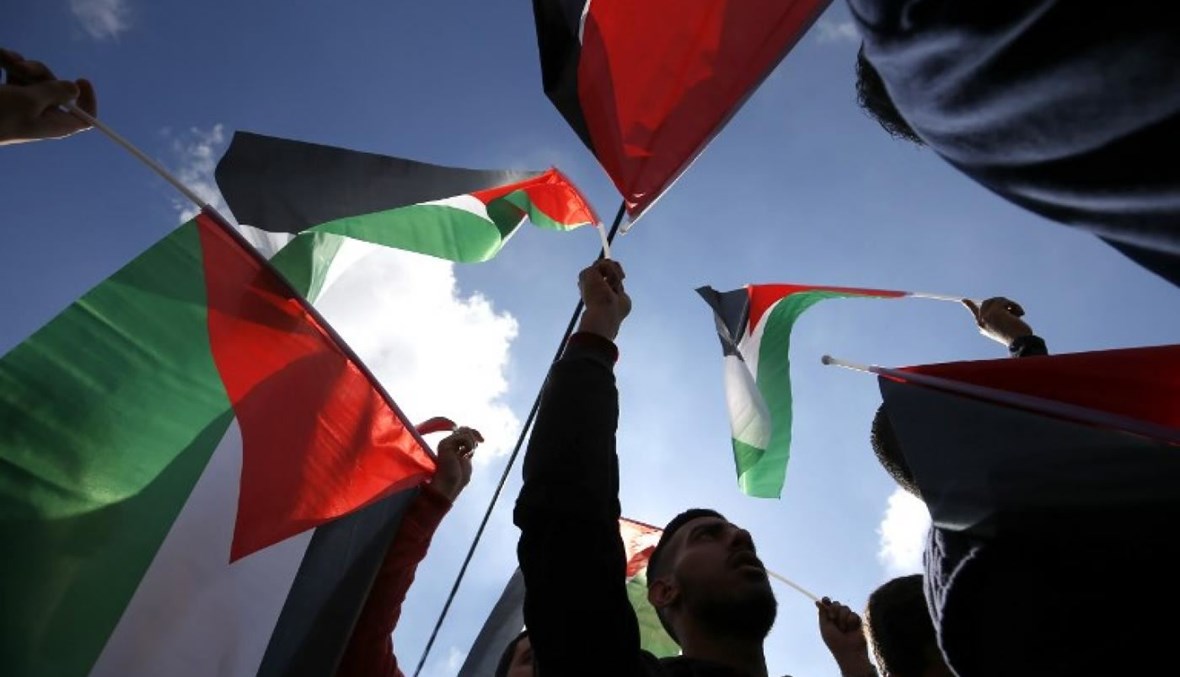 أعلام فلسطين (تعبيرية- أ ف ب). 