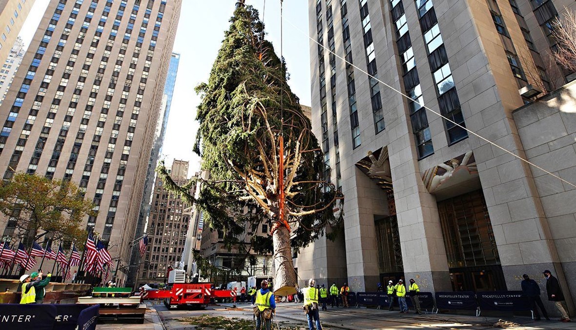 شجرة عيد الميلاد في نيويورك.